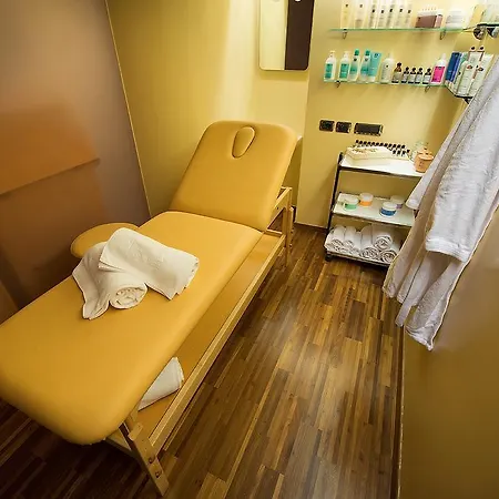 Montana Hotel 4*